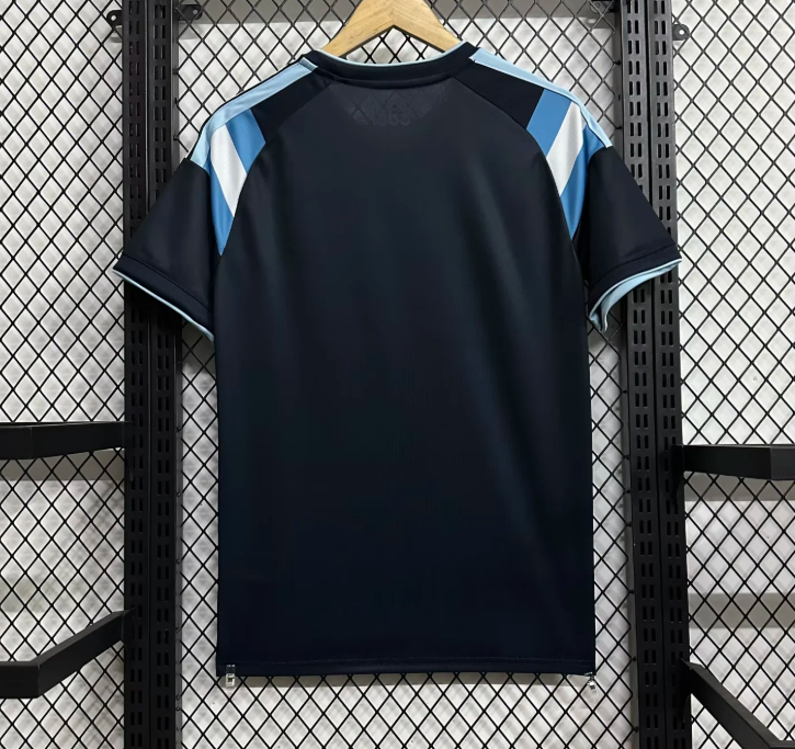Camiseta Argentina años 90 (Solo tallas S-4XL)