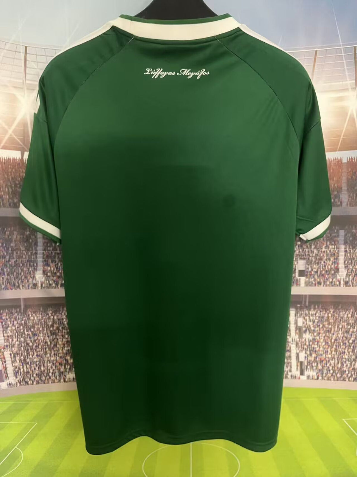 Camiseta Panathinaikos 26-27 local (tallas S-4XL)