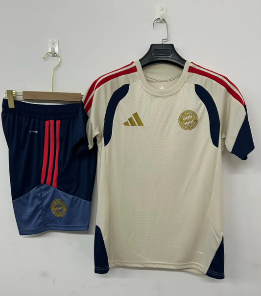Conjunto de entrenamiento Bayern Munich 26/27 gris (tallas S-3XL)