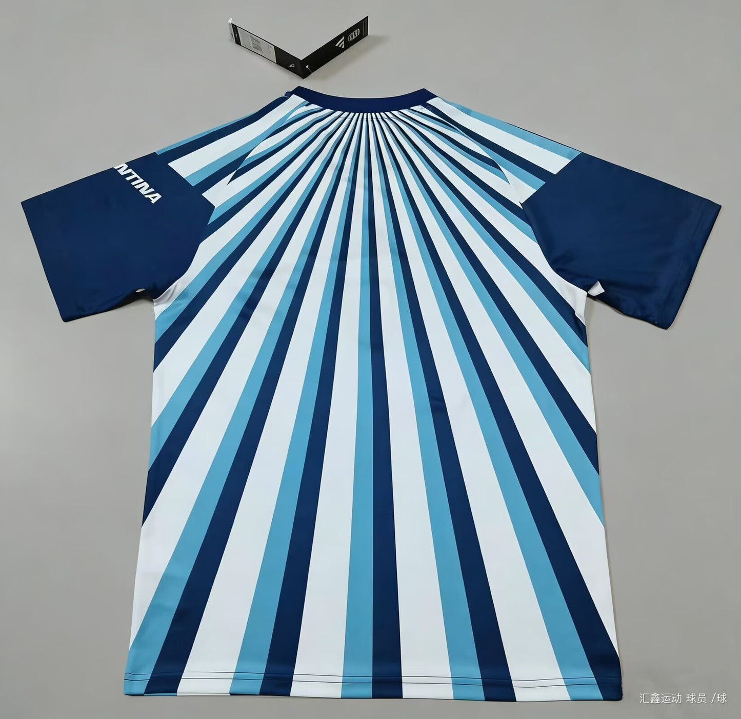 Camiseta prepartido Argentina 26 azul blanco (solo tallas S-4XL)