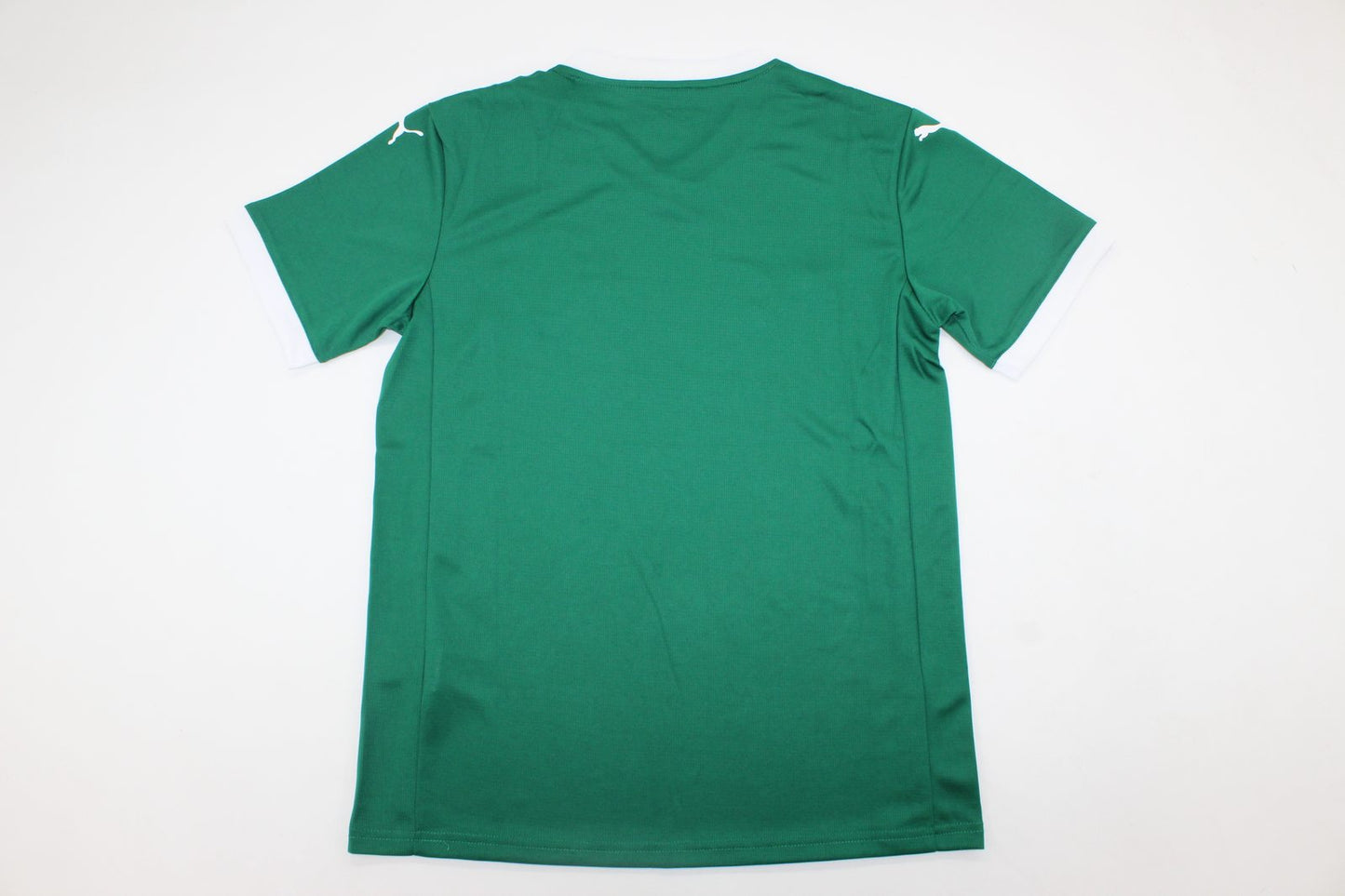 Camiseta Palmeiras 25/26 Local