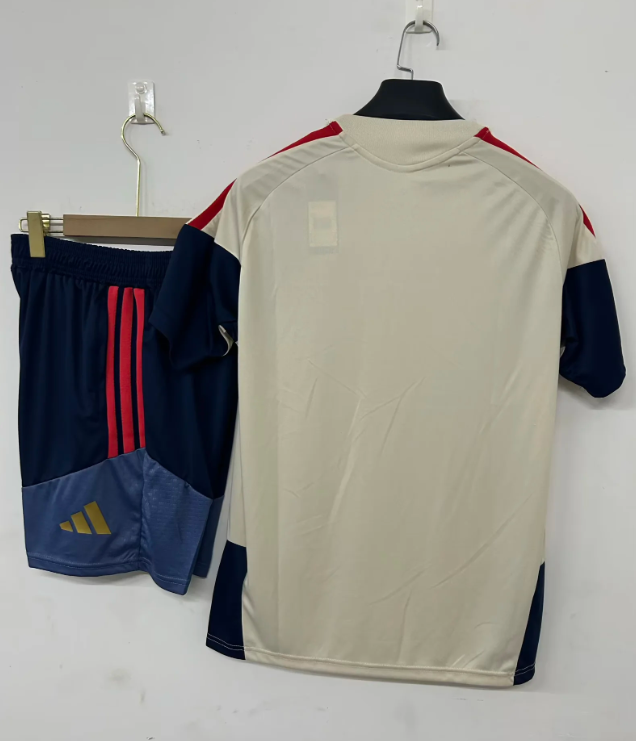 Conjunto de entrenamiento Bayern Munich 26/27 gris (tallas S-3XL)
