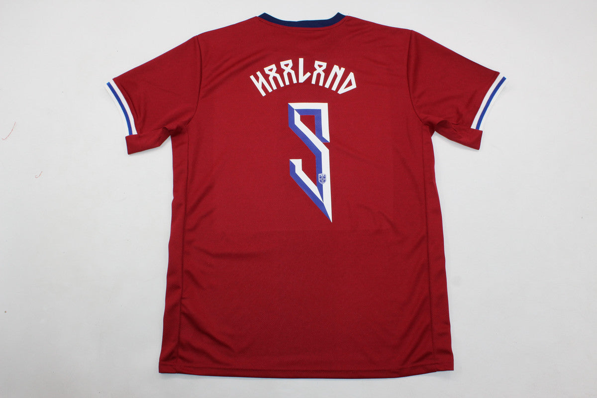 Camiseta Noruega 2024 Local