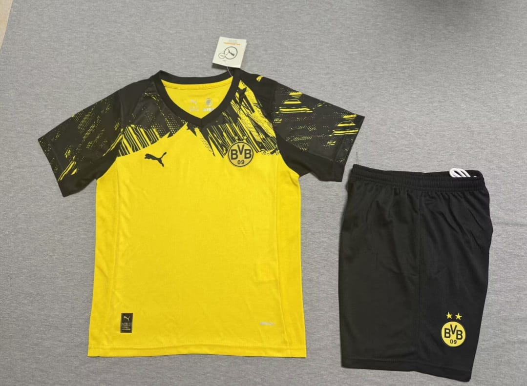 Equipacion Borussia Dortmund 25/26