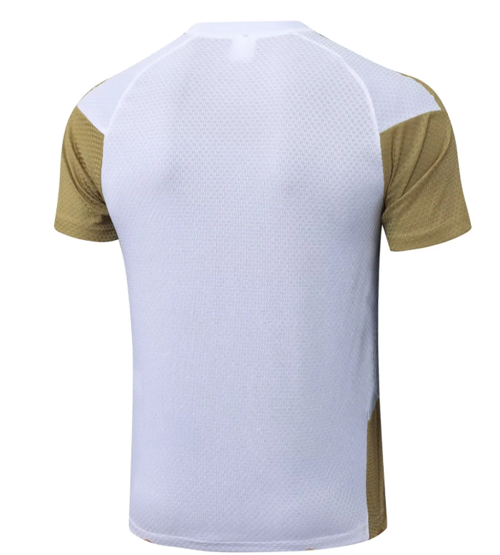 Camiseta de entrenamiento Real Madrid 25/26 version jugador especial oro