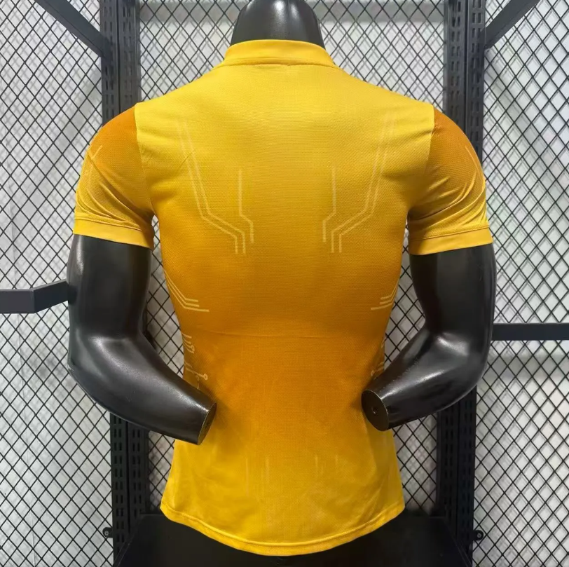 Camiseta Argentina 2026 Gold Sun Version Jugador (tallas S-XXL)