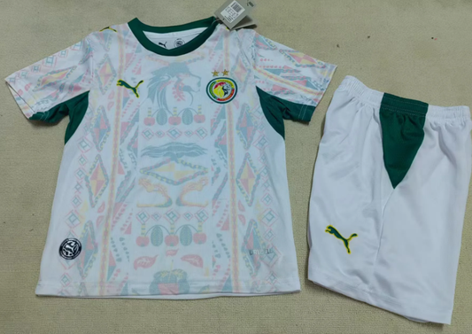 Equipacion Senegal Mundial 2026 Local