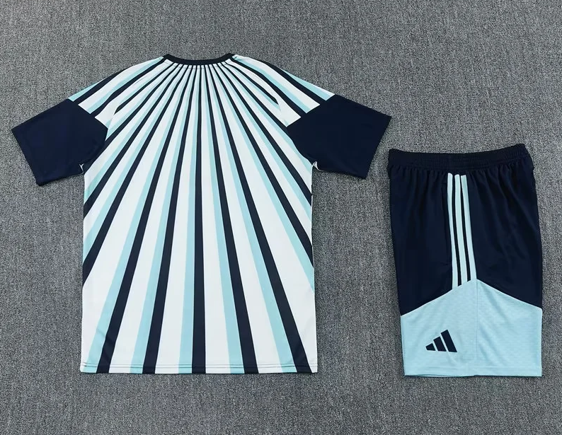 Conjunto prepartido Argentina 2034,9926 azul blanco (solo tallas S-2XL)