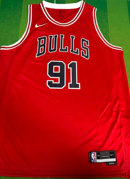 Camiseta Chicago Bulls Rodman