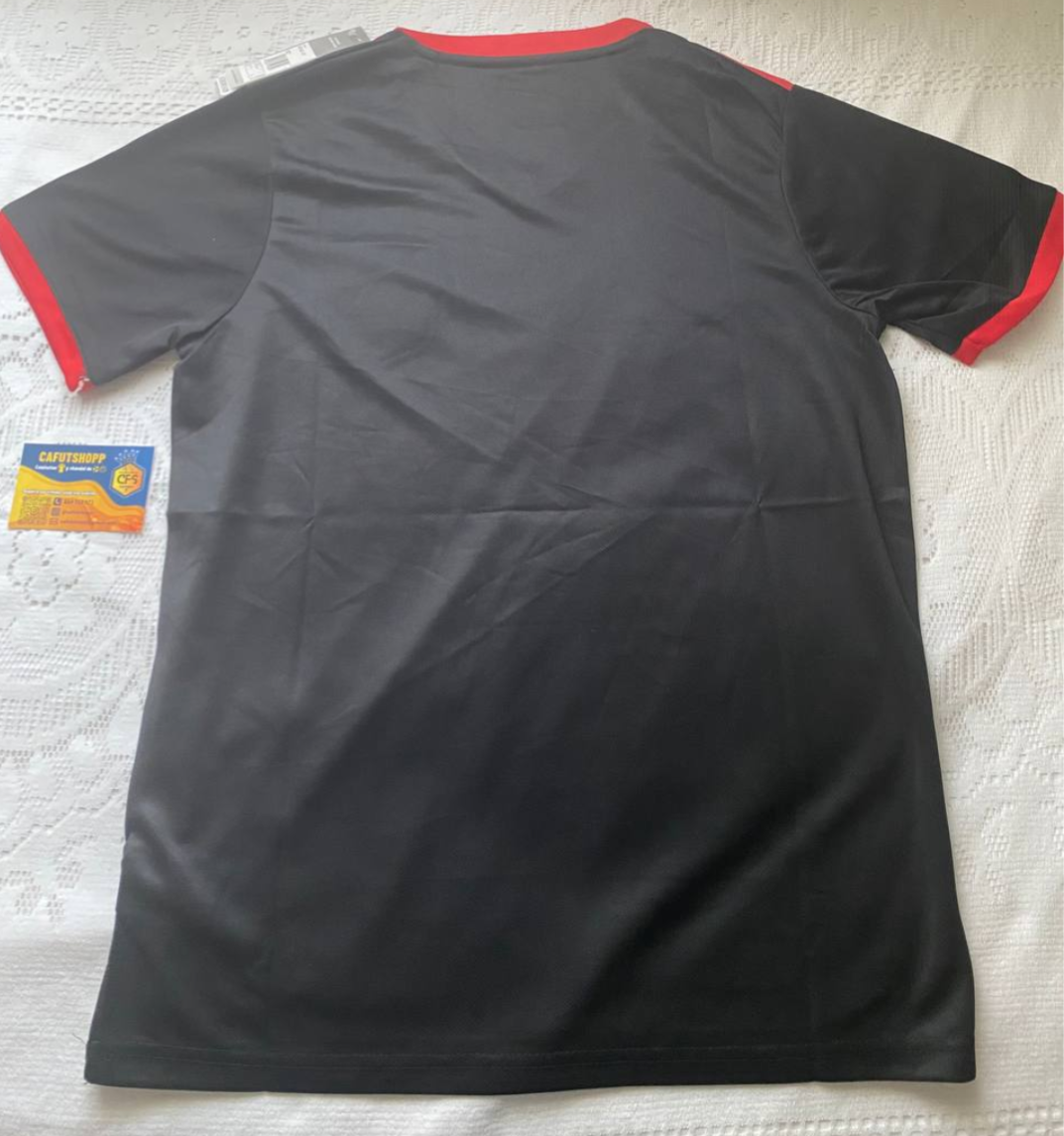 Camiseta Japon Goku