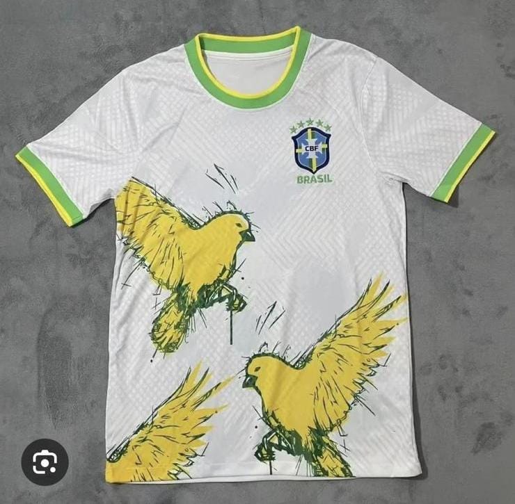 Camiseta Brasil Especial