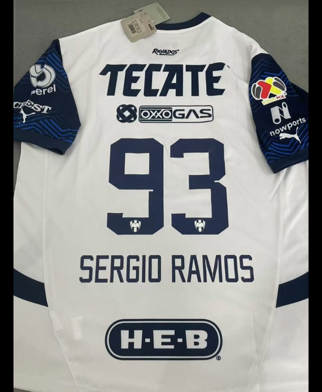 Camiseta Rayados Monterrey 24/25 Visitante
